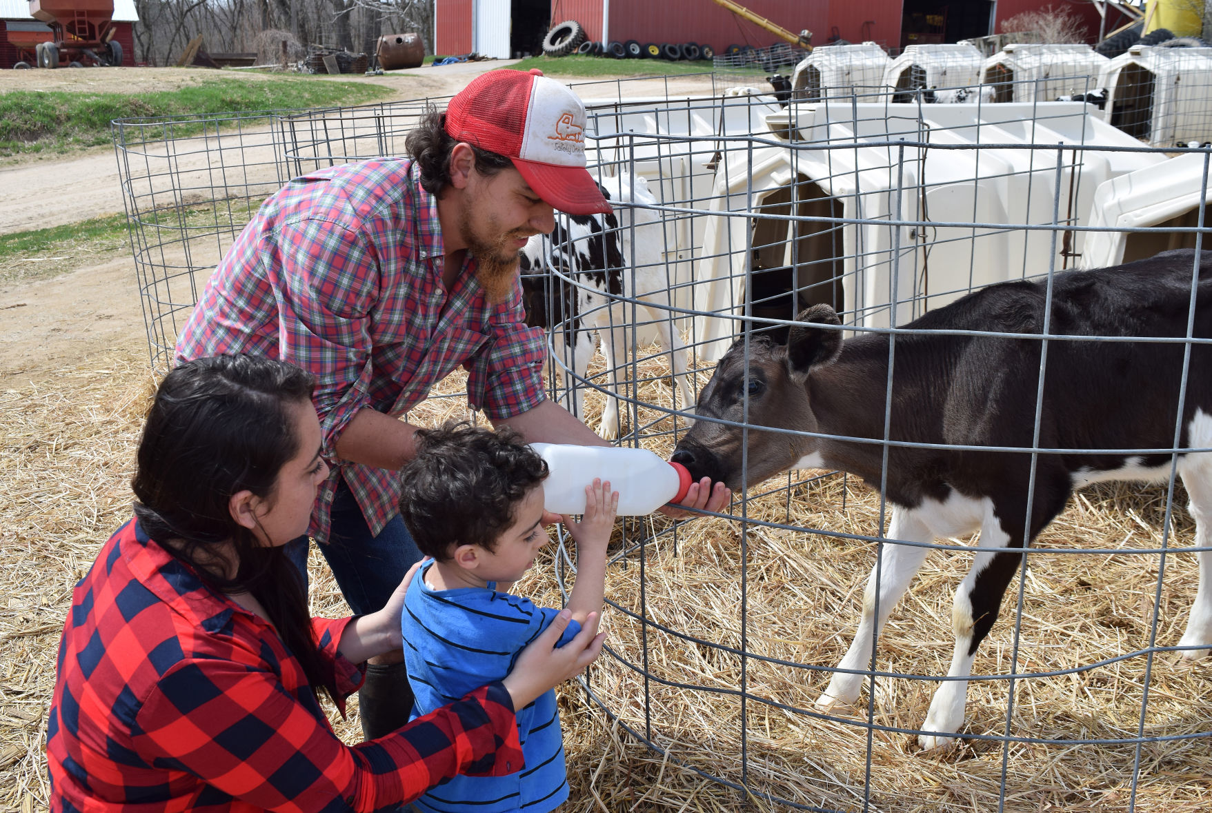 Nelson Farm, Dells